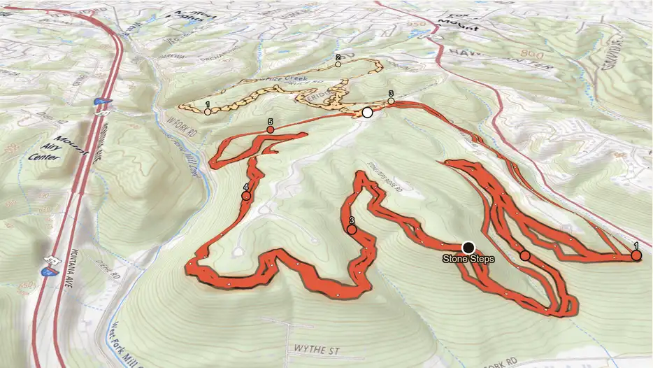 A topographic map of Mt. Airy Forest, tilted into its hills, with the Stone Steps 50K course drawn on the ridges it runs, mile markers round each loop, and the Stone Steps themselves marked.